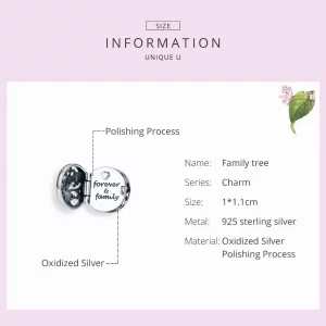 Charms Typu Pandora Rodzina na zawsze - SCC1259