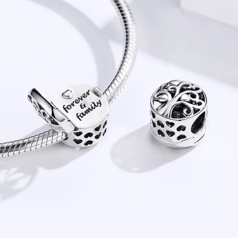 (zdjęcie do) Charms Typu Pandora Rodzina na zawsze - SCC1259 - Wyświetl 4