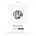 Charms Typu Pandora Weteran - SCC1885
