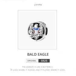 Charms Typu Pandora Weteran - SCC1885