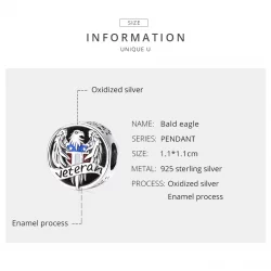 Charms Typu Pandora Weteran - SCC1885