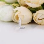 Charms Litera L Pandora