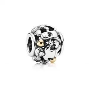Pandora Charms Rodzina 791040