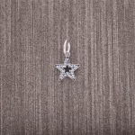 Symbol aspiracji - 791348CZ - Charmsy | PANDORA