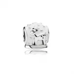 Snow Globe Charm - Pandora PL