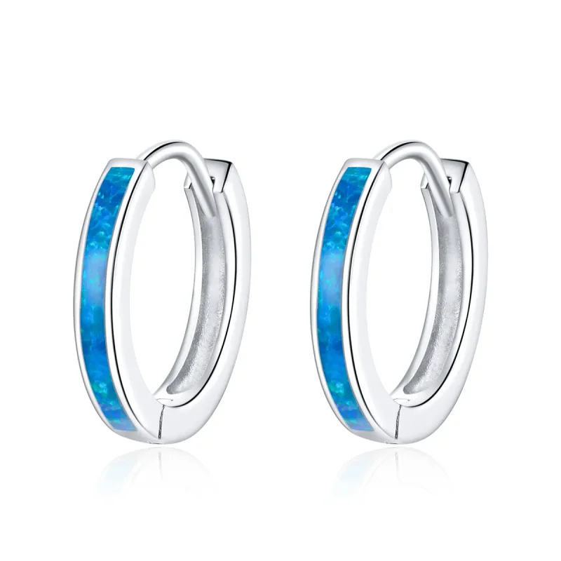 (zdjęcie do) Kolczyki koła Typu Pandora Opal - SCE992