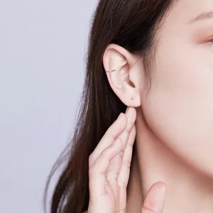 Kolczyki koła Typu Pandora Prosty - SCE647
