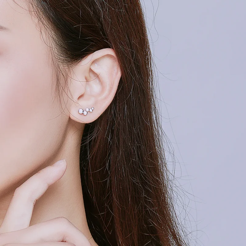 (zdjęcie do) Kolczyki sztyfty Typu Pandora Błyszcząca elegancja - BSE235 - Wyświetl 5