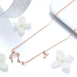 Naszyjnik Typu Pandora Libra - BSN022