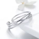 Otwarte pierścienie Typu Pandora Podróż w czasie - SCR483